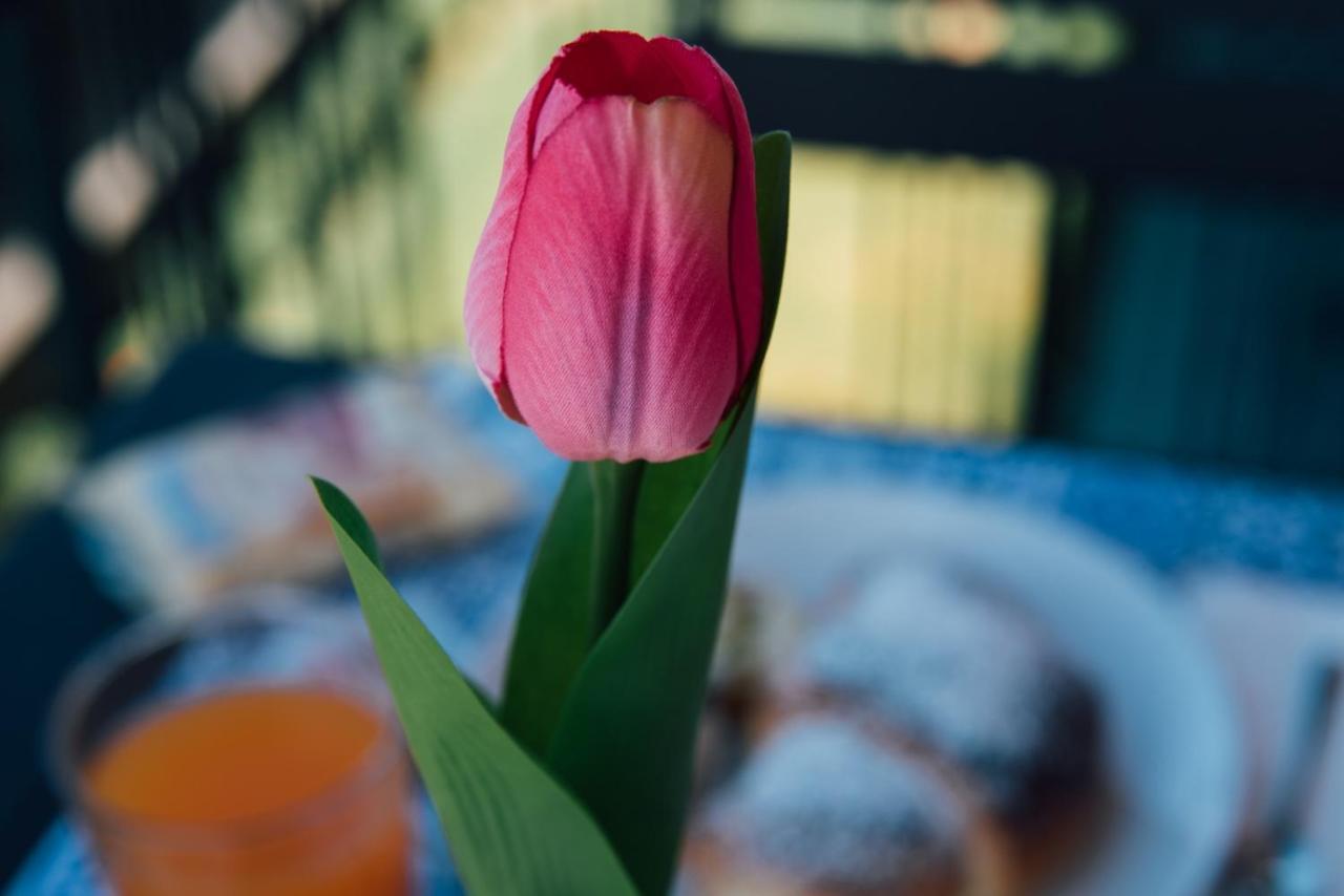Bluviro Bed & Breakfast Bronte Eksteriør bilde